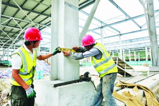 白云農創共享農副產品批發中心預計年底投用，建筑施工進展順利